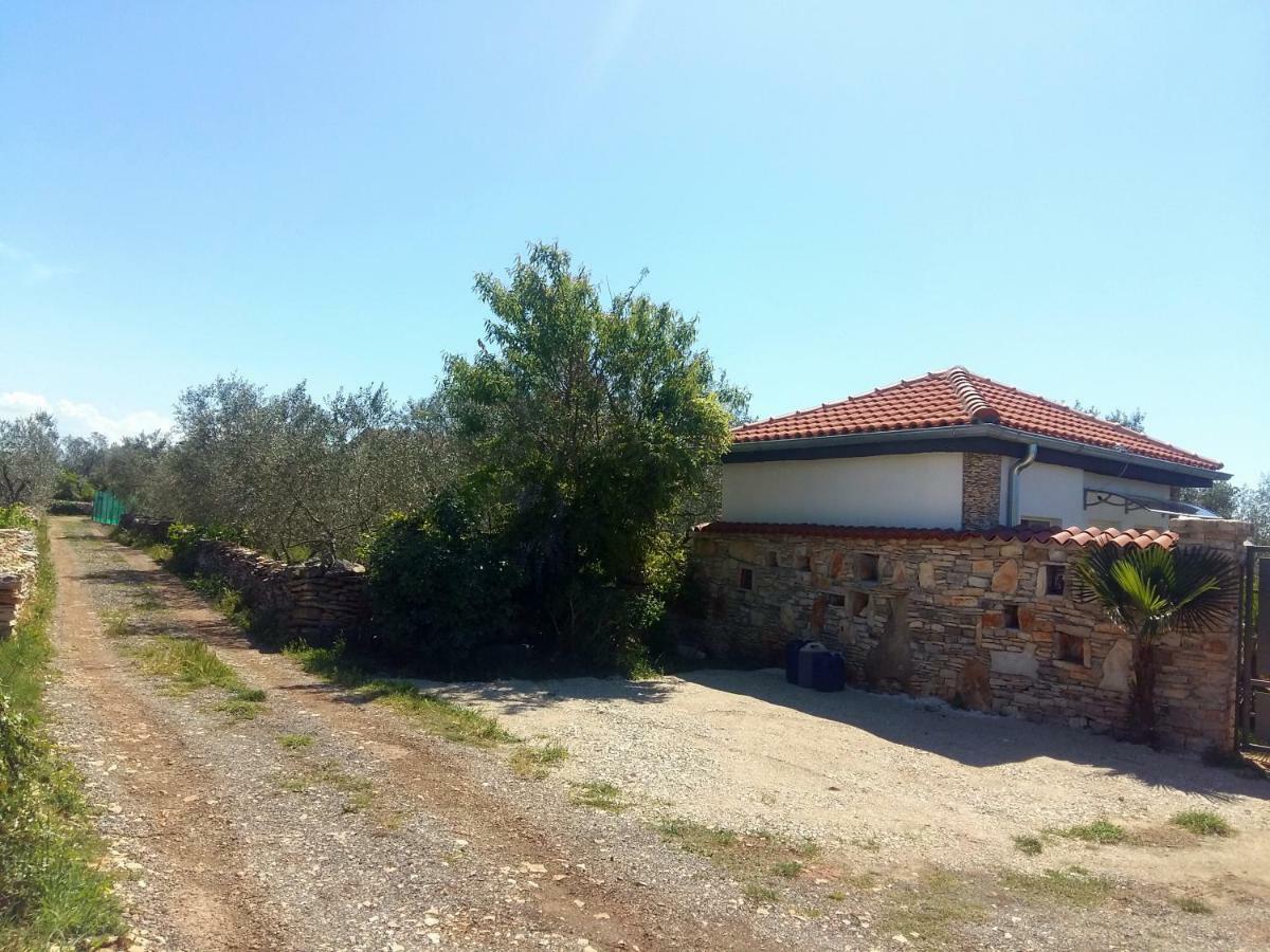Studio Apartman Vortex Fažana Exterior foto